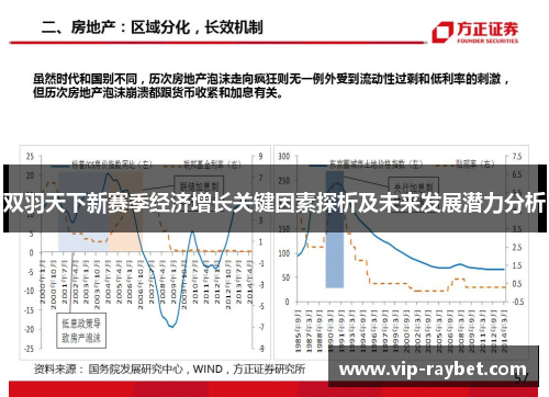 双羽天下新赛季经济增长关键因素探析及未来发展潜力分析