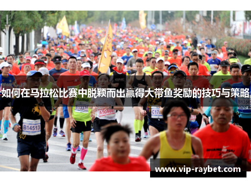 如何在马拉松比赛中脱颖而出赢得大带鱼奖励的技巧与策略