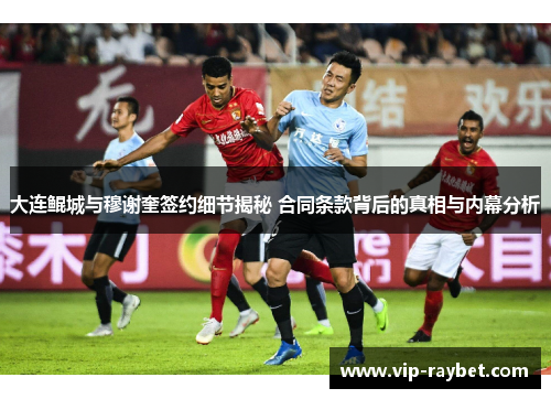 大连鲲城与穆谢奎签约细节揭秘 合同条款背后的真相与内幕分析