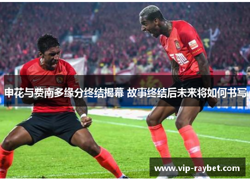 申花与费南多缘分终结揭幕 故事终结后未来将如何书写