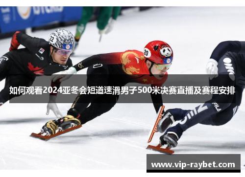 如何观看2024亚冬会短道速滑男子500米决赛直播及赛程安排