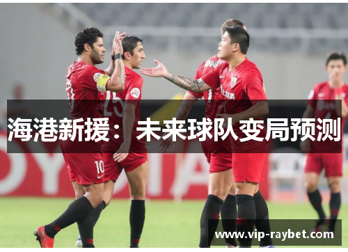 海港新援：未来球队变局预测