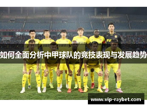 如何全面分析中甲球队的竞技表现与发展趋势